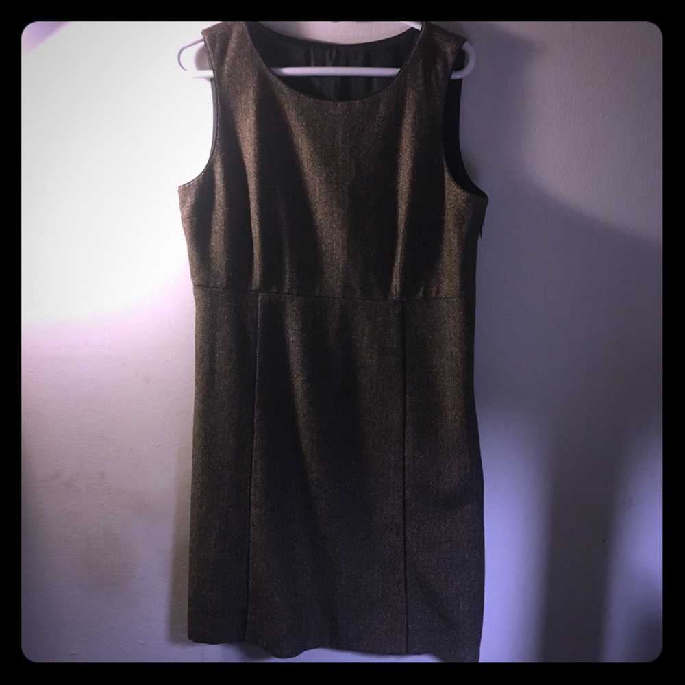 Elie Tahari Warm Winter Dress Great for the office